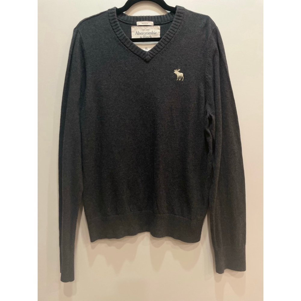 Abercrombie & Fitch Sweater Mens XL V Neck Muscle Fit Pullover Moose Logo Y2K